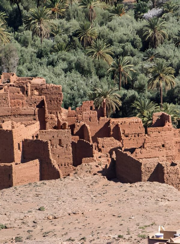Connectingmorocco