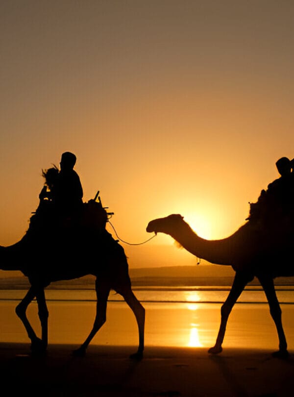 Agadir Connectingmorocco,