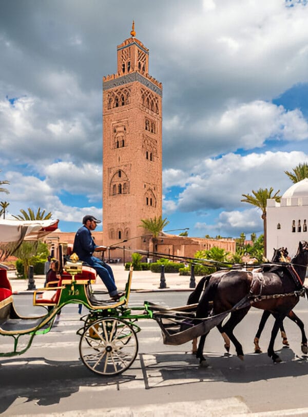 Calèche Tour Connectingmorocco