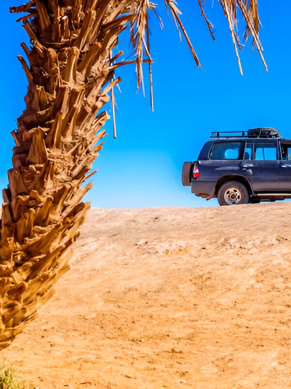2 days Marrakech to Zagora Connectingmorocco