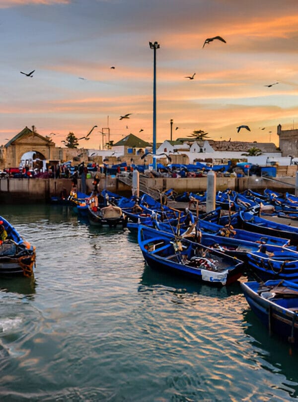 Visit Essaouira connectingmorocoo