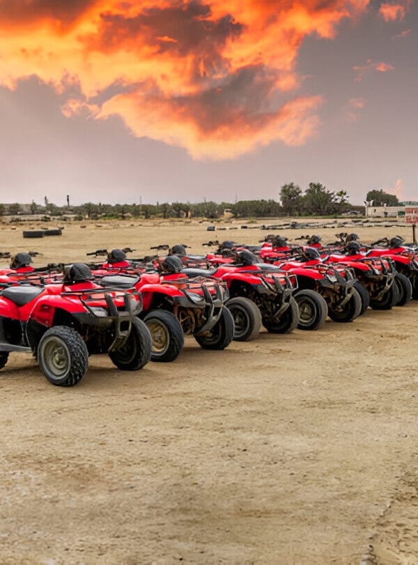 Quad Bike Connectingmorocco