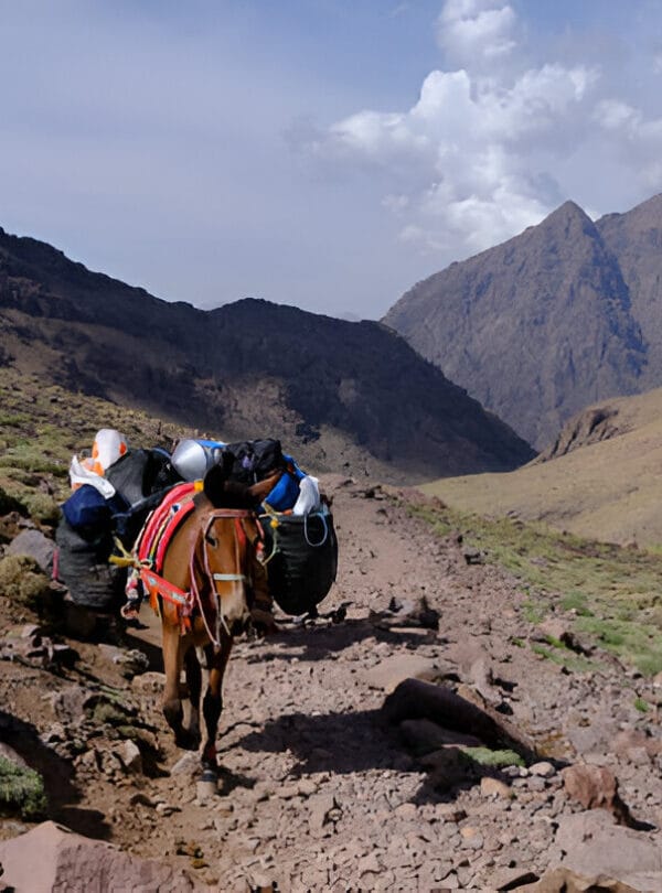 Connectingmorocco