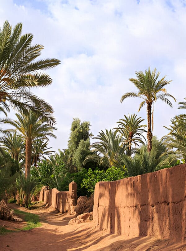 Zagora Connectingmorocco,