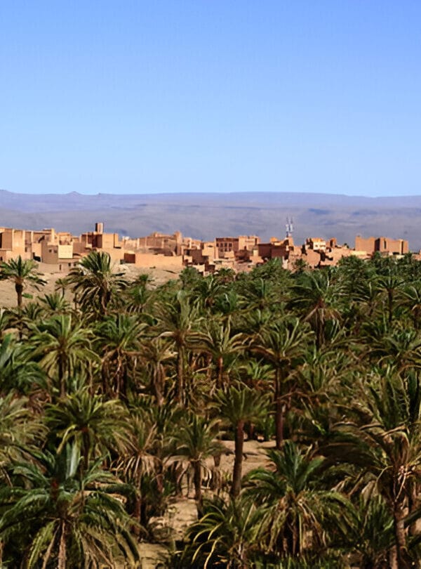 Zagora Connectingmorocco,