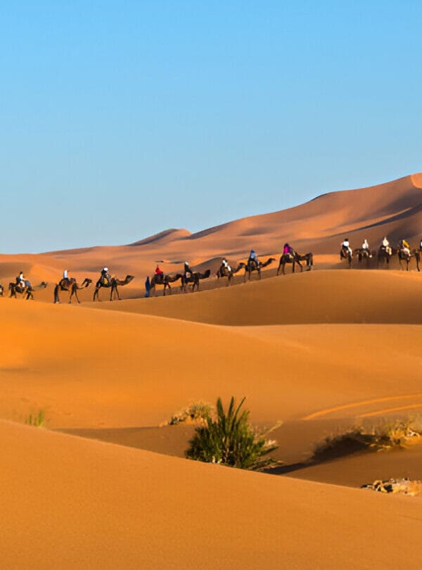 3 Days Marrakech to Merzouga Connectingmorocco