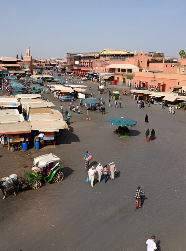 Calèche Tour ConnectingmoroccoConnectingmorocco