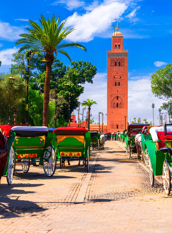 Connectingmorocco Calèche Tour Connectingmorocco